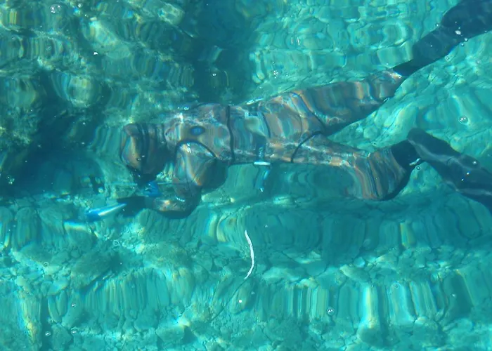 Pacho